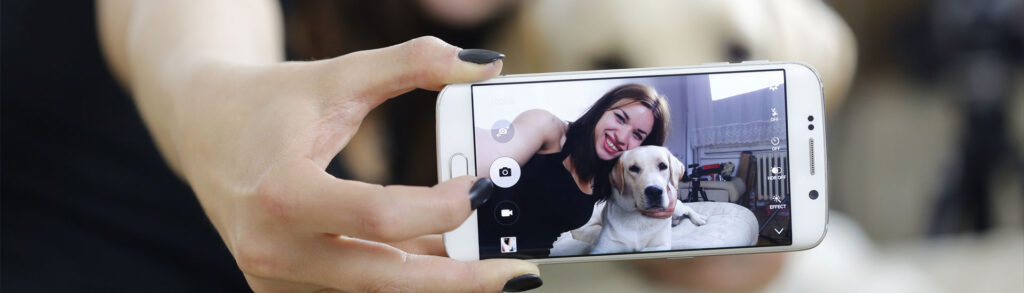 fotografar seu cão