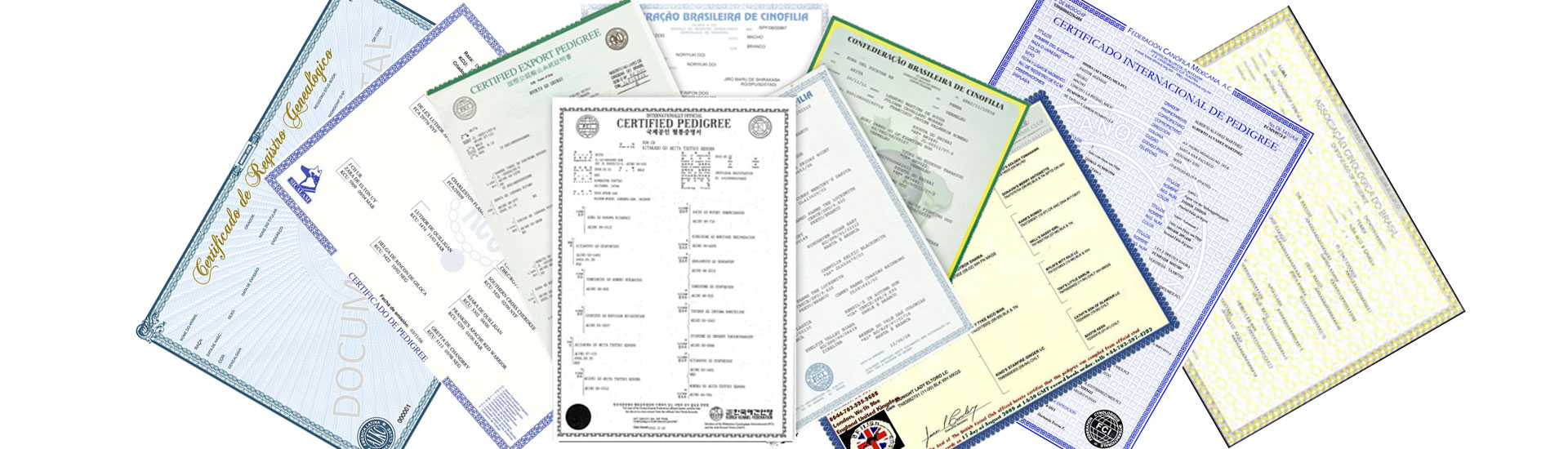Onde Registrar o Pedigree?