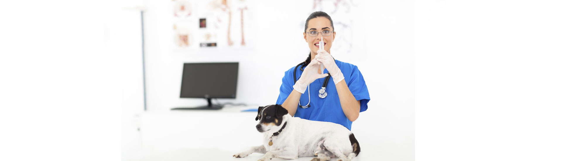 Microchip, um custo desnecessário ou um diferencial do Criador?