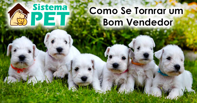 Bom Vendedor