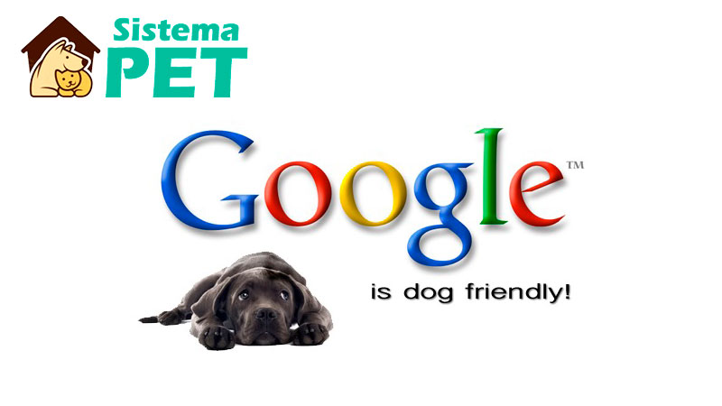 Google Ads Criadores