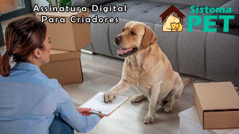 Assinatura Digital