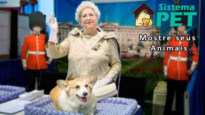 Mostre sua Criação