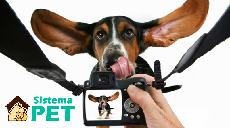 Postando Fotos com Segurança