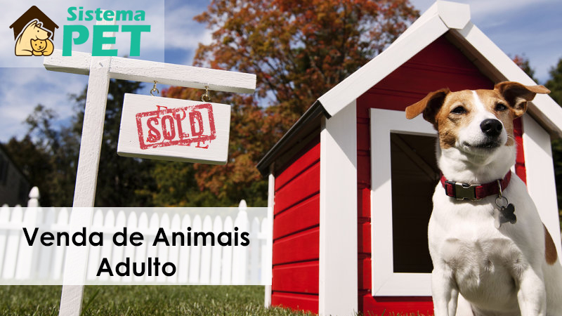 Venda Animais Adulto