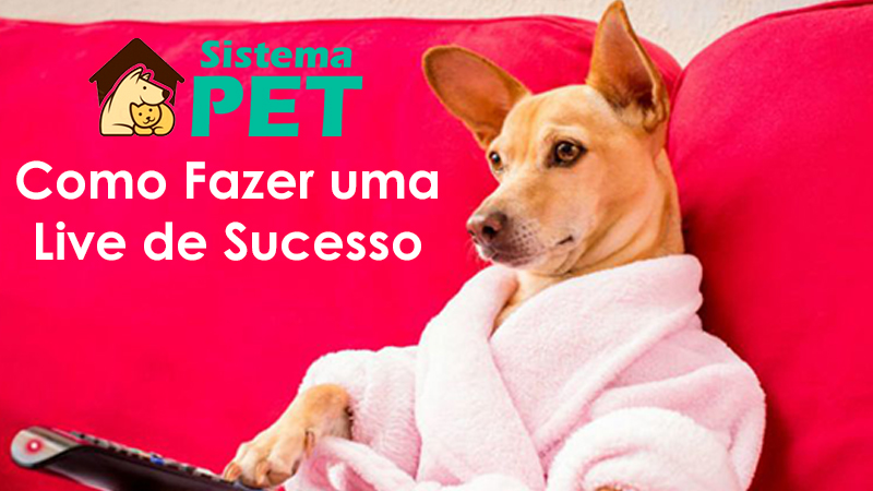 Live de Sucesso