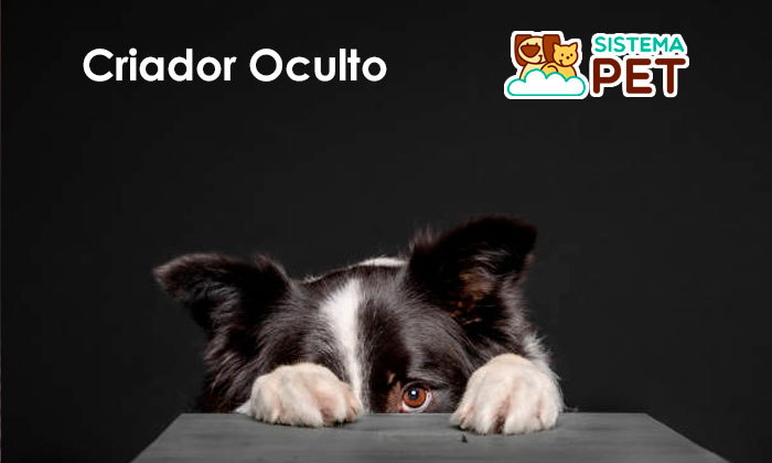 Criador Oculto