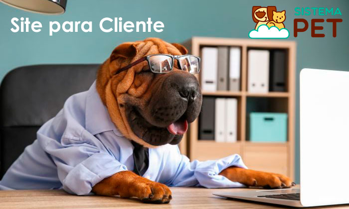 Site para Cliente